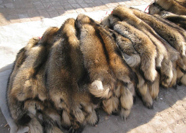 China Suavidad enorme desmontable del mapache del 100% de la piel natural real de la piel para la capilla de la ropa proveedor