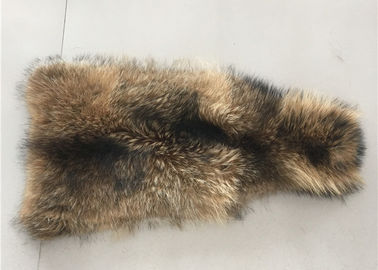China Piel cruda del color del mapache del cuello natural de la piel un grado 70 - el 105cm para la ropa/la materia textil casera proveedor