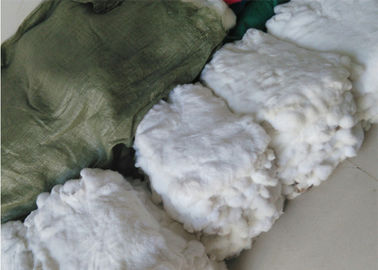 China Piel auténtica del conejo de las chaquetas para el tiro del invierno, pieles blancas de la piel del conejo de los 22*30cm  proveedor