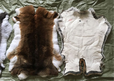 China Uso esquilado del abrigo de pieles del conejo, pieles blancas de la piel del conejo de los pelos mullidos para la ropa proveedor