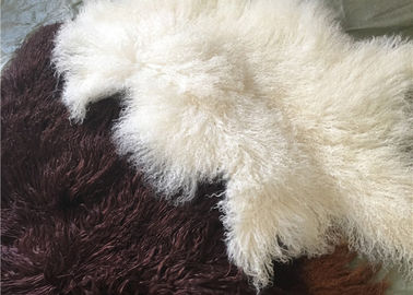 China La piel mongol de la lana de cordero tibetana blanca natural material rizada larga de la zalea oculta proveedor