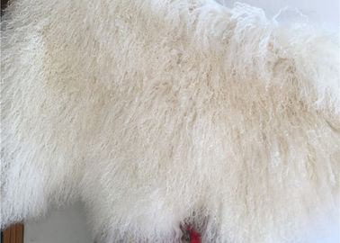 China Manta rizada blanca 100% de la piel del pelo de la zalea de la crema mongol larga natural de la corderina proveedor