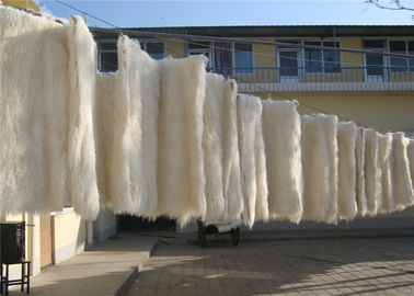 China La zalea larga del pelo de la manta tibetana de la lana de cordero teñió la alfombra mongol de la manta de la placa de la piel del cordero proveedor