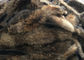 Piel cruda del color del mapache del cuello natural de la piel un grado 70 - el 105cm para la ropa/la materia textil casera proveedor