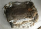 Piel bronceada amistosa del conejo de Eco Rex 1.5-3 longitudes de la piel del cm para la materia textil/las almohadas caseras proveedor