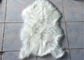 Manta blanca grande decorativa de la piel de imitación del sitio 2 * 3 pies, sola manta del piso de la piel de imitación de la piel proveedor