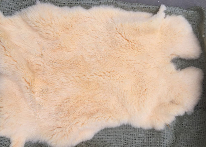 La piel real del conejo de Rex de la materia textil casera a prueba de viento se calienta para la guarnición del abrigo de invierno