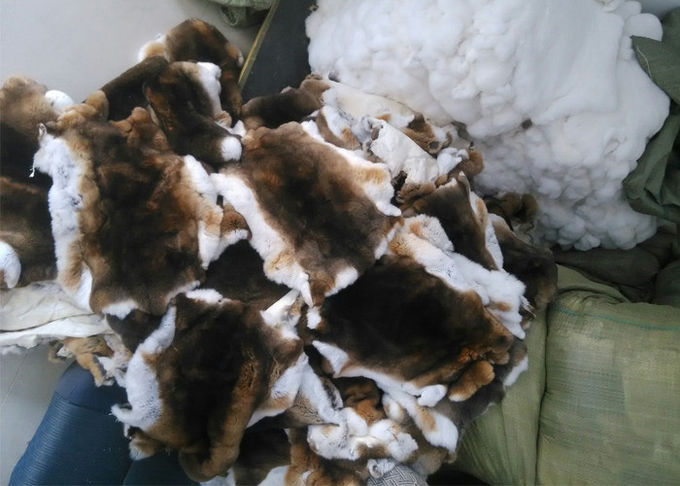 La piel real del conejo de Rex de la materia textil casera a prueba de viento se calienta para la guarnición del abrigo de invierno
