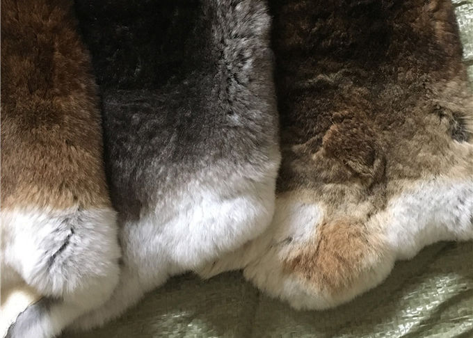 Piel bronceada amistosa del conejo de Eco Rex 1.5-3 longitudes de la piel del cm para la materia textil/las almohadas caseras