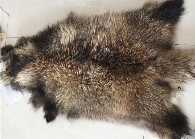 Respetuoso del medio ambiente verdad el abrigo auténtico 100% del mantón del cuello de la piel del mapache grande