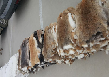 China Color natural liso los 25*35cm de Brown de la piel del conejo de Rex de los accesorios de la guarnición de la capa proveedor