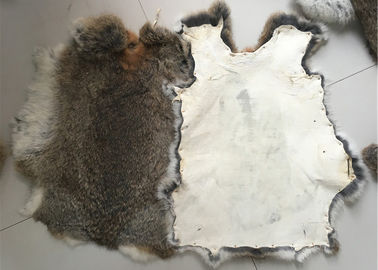 China Piel bronceada amistosa del conejo de Eco Rex 1.5-3 longitudes de la piel del cm para la materia textil/las almohadas caseras proveedor