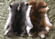 La piel bronceada de la piel del conejo de Rex de la hierba modificó el tamaño para requisitos particulares para los accesorios/ropa