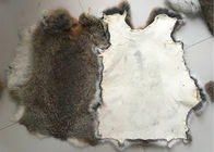 China Piel bronceada amistosa del conejo de Eco Rex 1.5-3 longitudes de la piel del cm para la materia textil/las almohadas caseras compañía