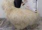 Sala de estar mongol larga gris de la manta de la zalea del pelo rizado con tamaño de los pies 2*4 proveedor