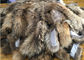 Capilla natural desmontable del cuello de la piel del mapache de largo para la capa los 80cm de la chaqueta de los hombres proveedor