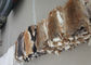 Color natural liso los 25*35cm de Brown de la piel del conejo de Rex de los accesorios de la guarnición de la capa proveedor