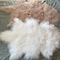 La piel mongol de la lana de cordero tibetana blanca natural material rizada larga de la zalea oculta proveedor