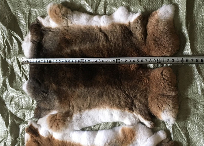 Piel caliente Winderproof del conejo de Rex del super suave para hacer la manta de la ropa/del conejo