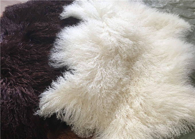 Cubierta rizada de la placa de las lanas de la zalea de la piel el 100% del pelo de Tíbet de la piel larga mongol del cordero